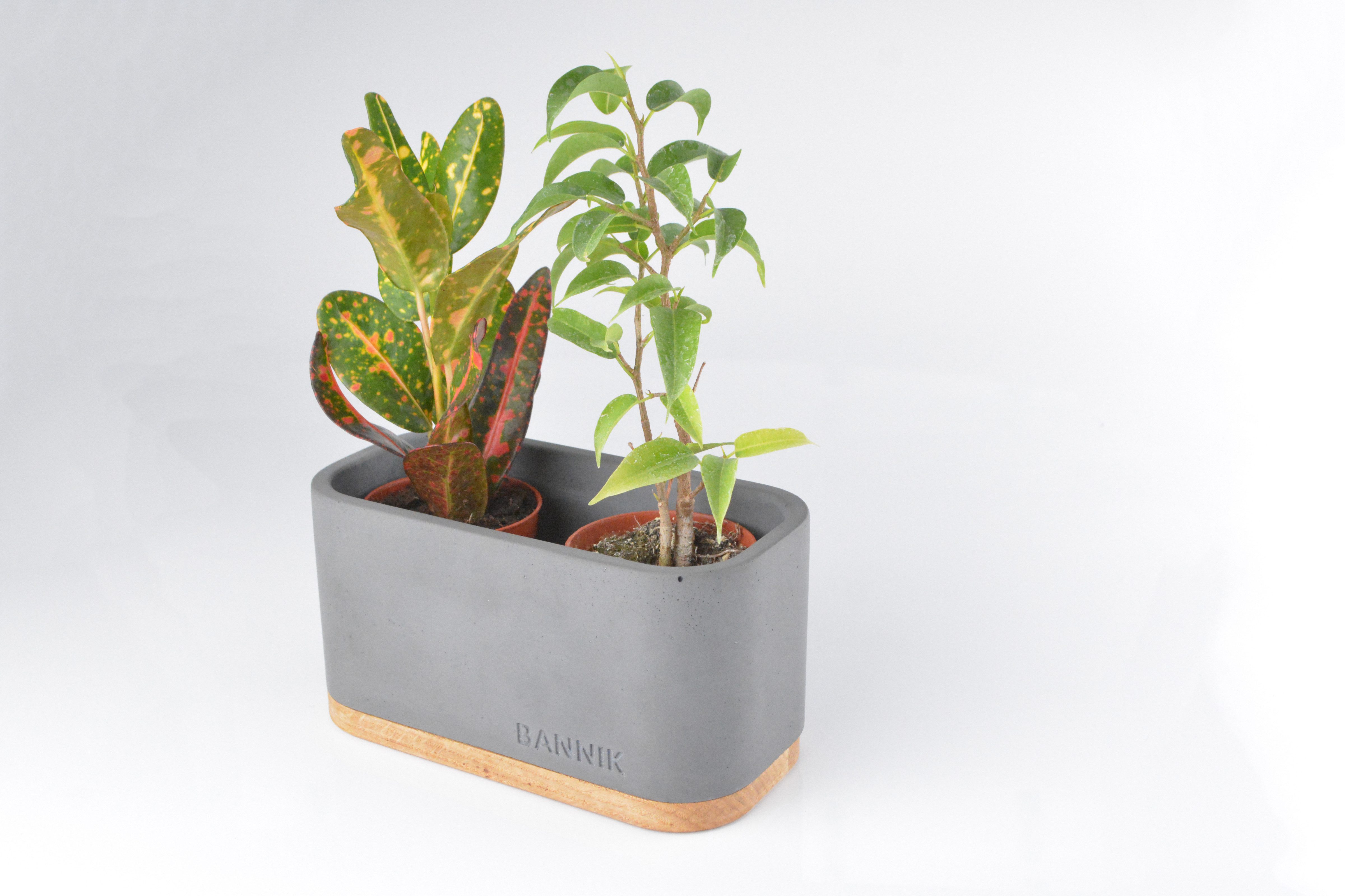 Bannik Blumentopf aus Beton - Unikat günstig online kaufen