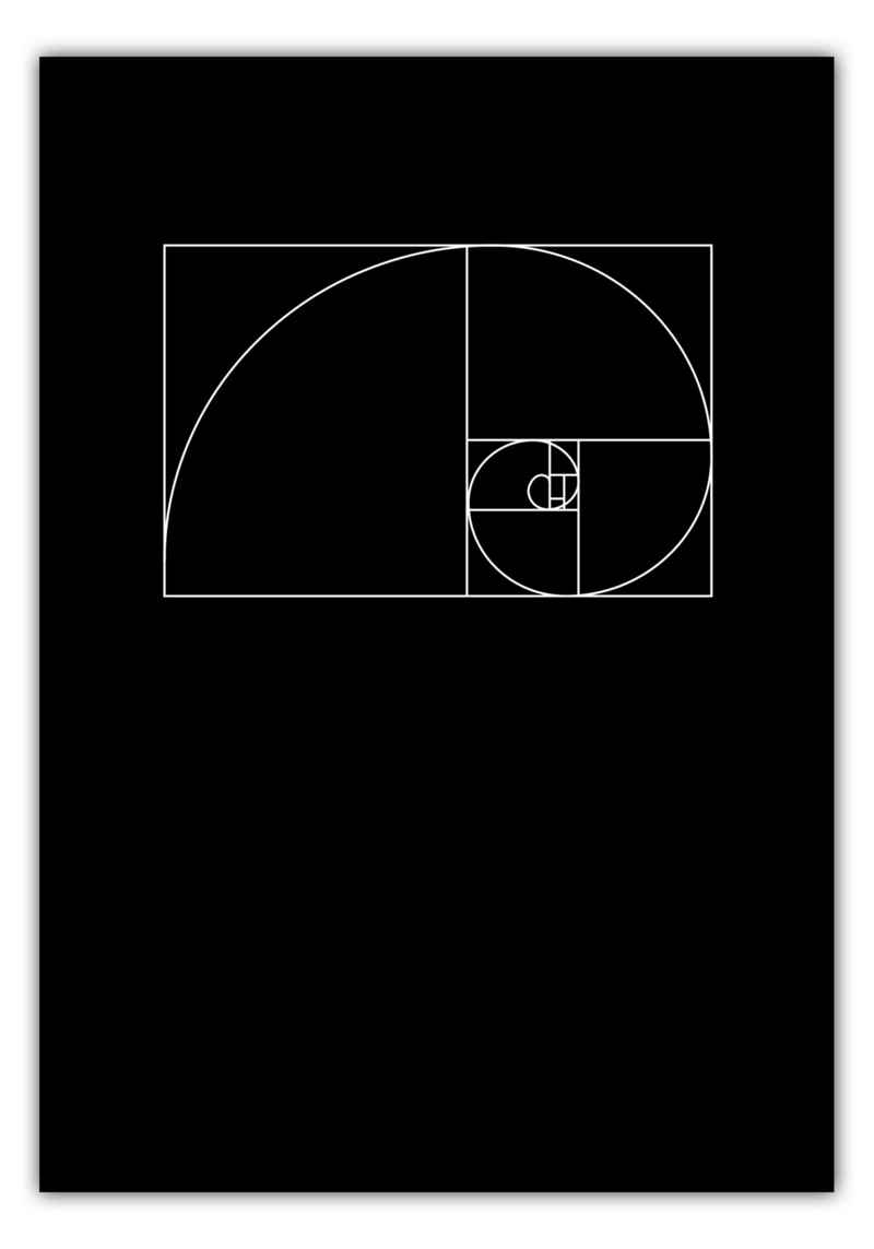 MOTIVISSO Poster Fibonacci klein