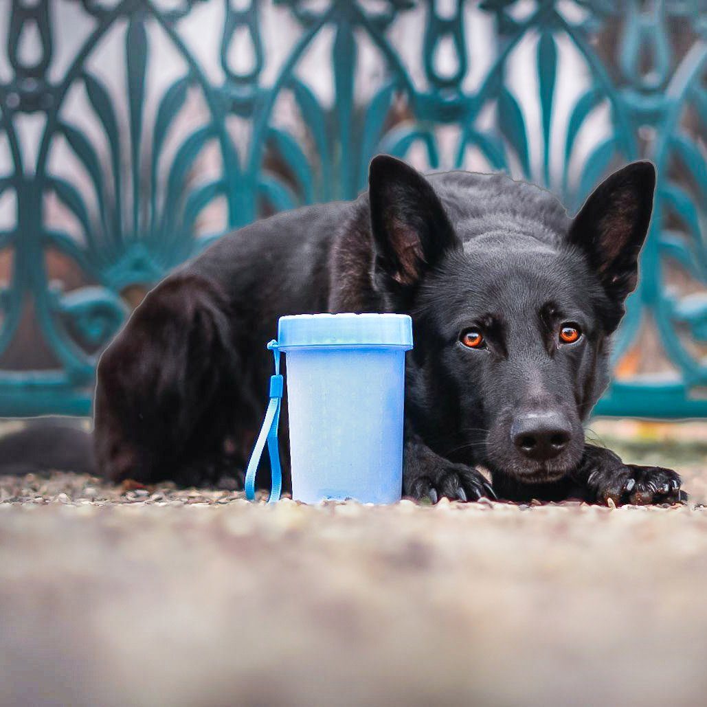 Wahre Tierliebe Hundehandtuch Hunde Pfotenreiniger - entfernt Schmutz - für Groß und Klein, schnell trocknend, schnelle Reinigung – Bild 4 von 4