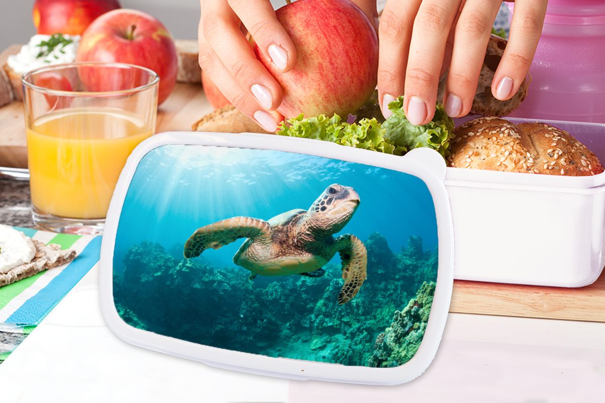 MuchoWow Lunchbox Jungs Mädchen und Kunststoff, für Schildkröte (2-tlg), Brotdose, Kinder und weiß Fotodruck, Erwachsene, Schwimmende Brotbox für