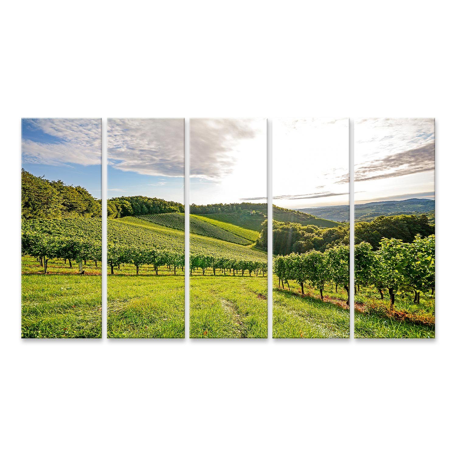 Leinwandbild Bild auf Leinwand Vines In A Vineyard In Autumn Wine Grapes Before Har