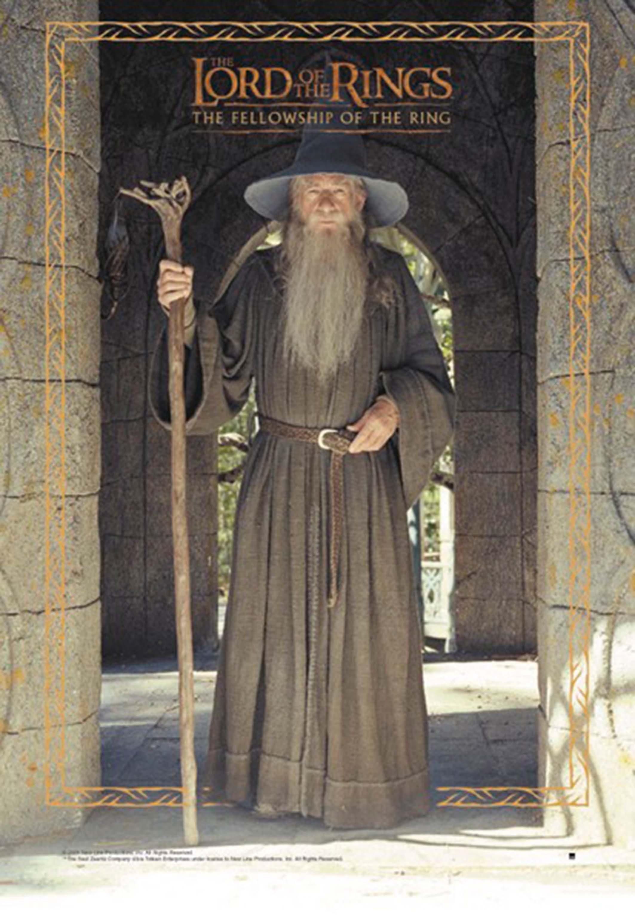 Close Up Плакат Herr der Ringe Плакат Gandalf 68,5 x 98 cm