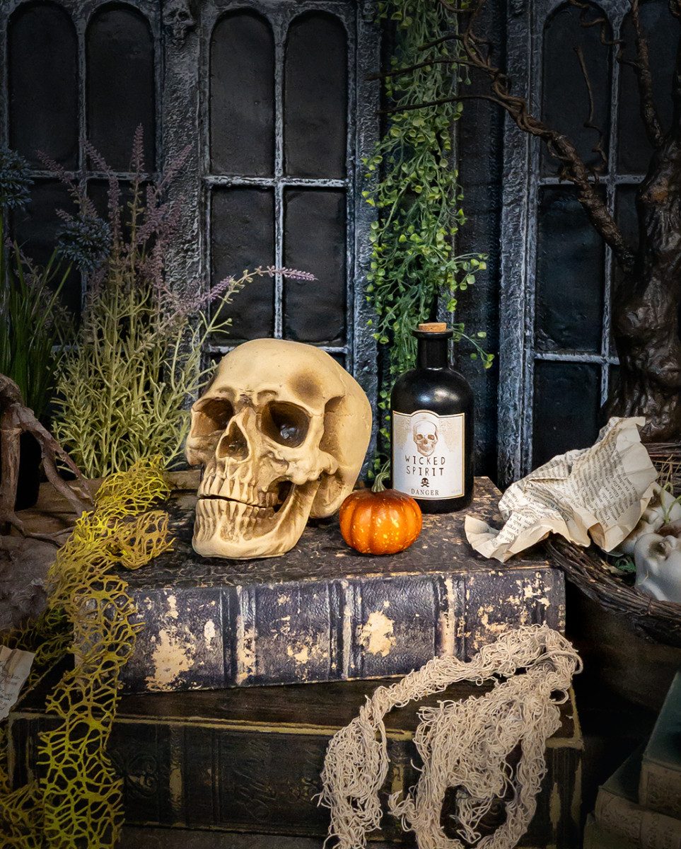 Horror-Shop Dekoobjekt Anthropologie Totenschädel als Gruseldeko – Bild 4 von 4