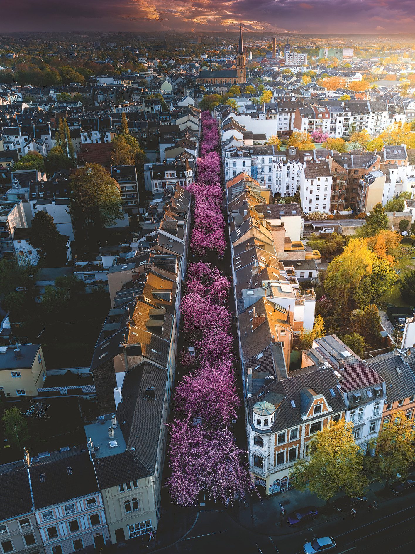 Ravensburger Puzzle Blühendes Bonn, 1500 Puzzleteile, günstig online kaufen