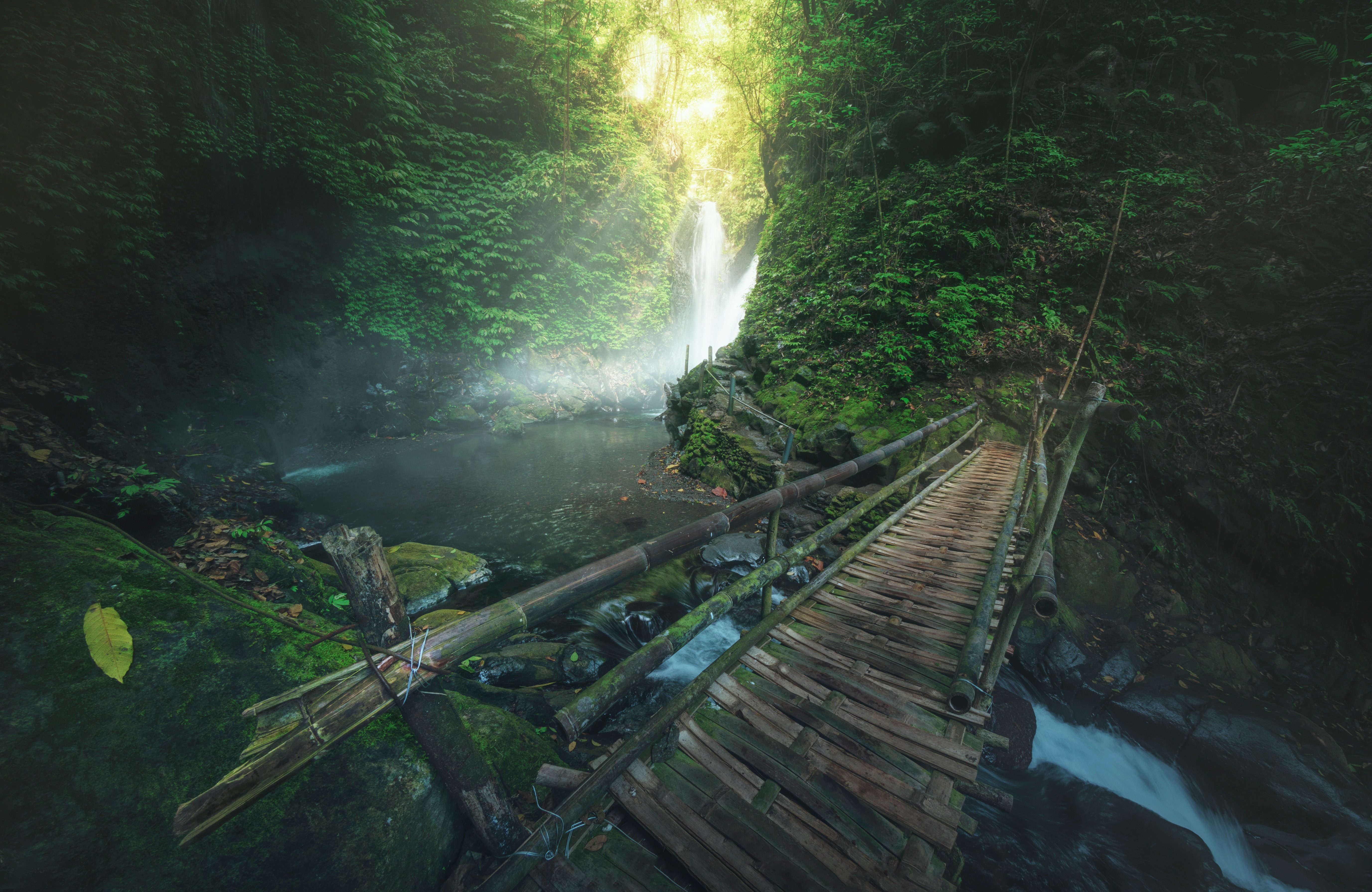 Papermoon Fototapete VLIES-Tapete Premium Natur Holz Brücke Wasserfall Pflanzen Grün, Kleister KOSTENLOS, reduziert, 3D-Effekt, restlos trocken abziehbar, (komplett Set inkl. Tapetenkleister, 8250), Wandtapete Bild Dekoration Wand-Dekor Motiv Tapete Poster