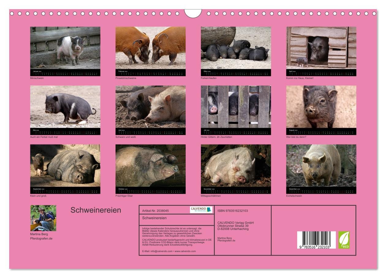 Thumbnail - CALVENDO Wandkalender Schweinereien (Wandkalender 2026 DIN A3 quer), CALVENDO Monatskalender