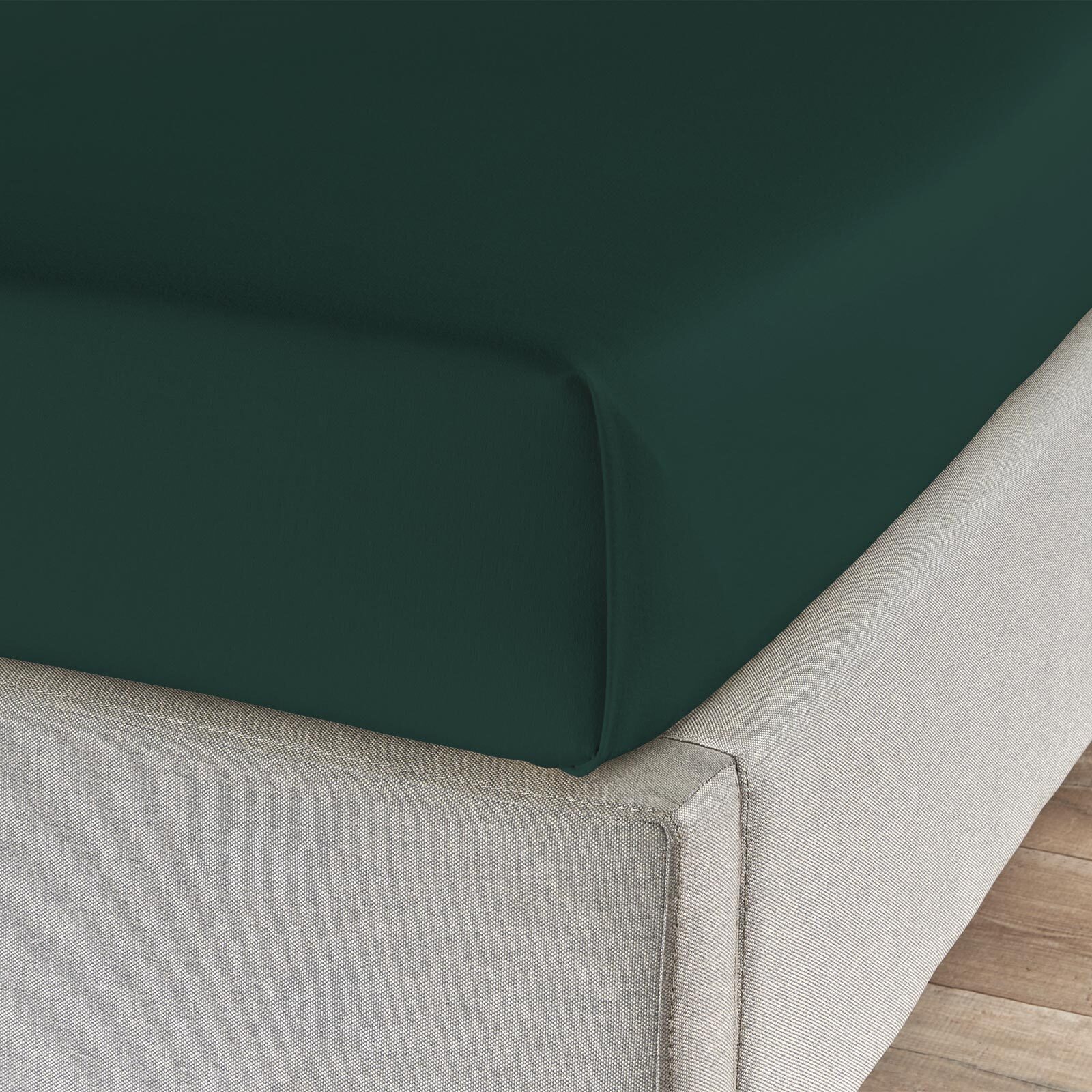 TRAUMSCHLAF Betttuch Feinbiber Haustuch Bettlaken, Biber, Gummizug: ohne Sp günstig online kaufen