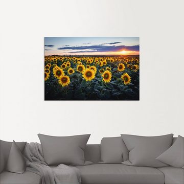 Artland Alu-Dibond-Druck Sonnenblumenfeld, Sonne im Hintergrund, Blumenwiese (1 St), für Innen- und Außenbereich geeignet, Outdoorbild