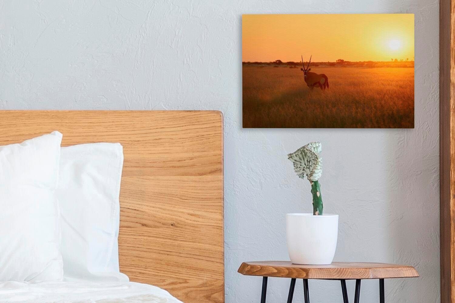 Leinwandbilder, OneMillionCanvasses® (1 Kalahari Wildreservat 30x20 Sonnenuntergang im St), cm Wanddeko, Leinwandbild Zentral in Aufhängefertig, Afrika, Wandbild