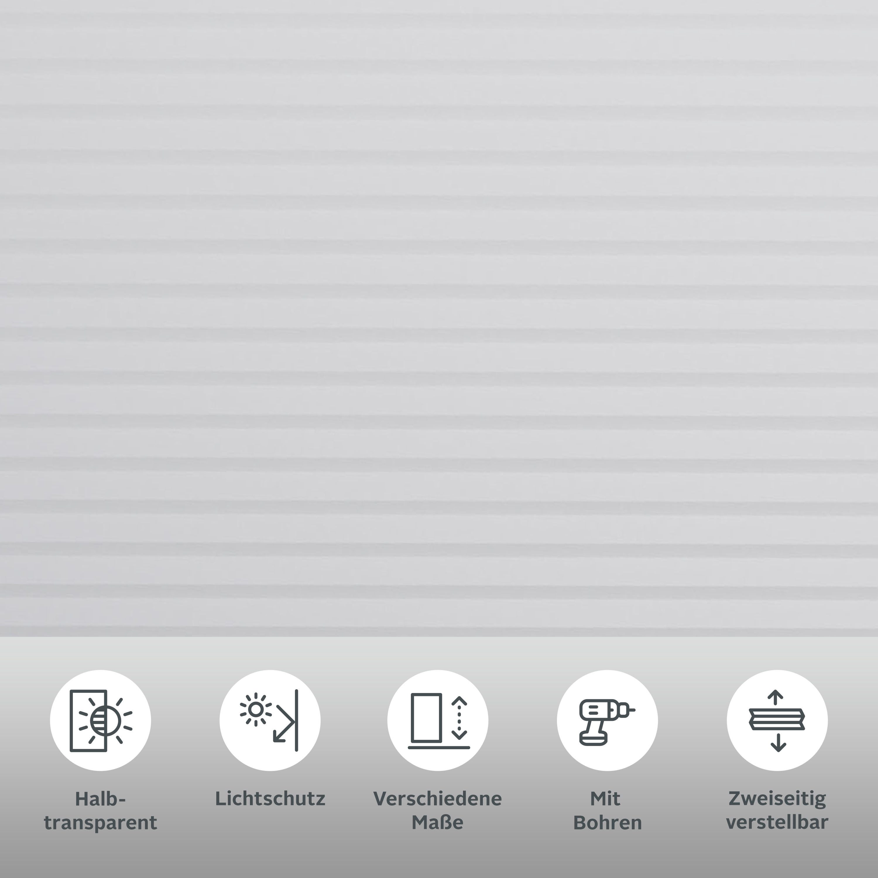 my home Insektenschutzplissee Mika, Lichtschutz, mit Bohren, in Führungsschienen, verschraubt, Insektenschutz und Wabenplissee in einem