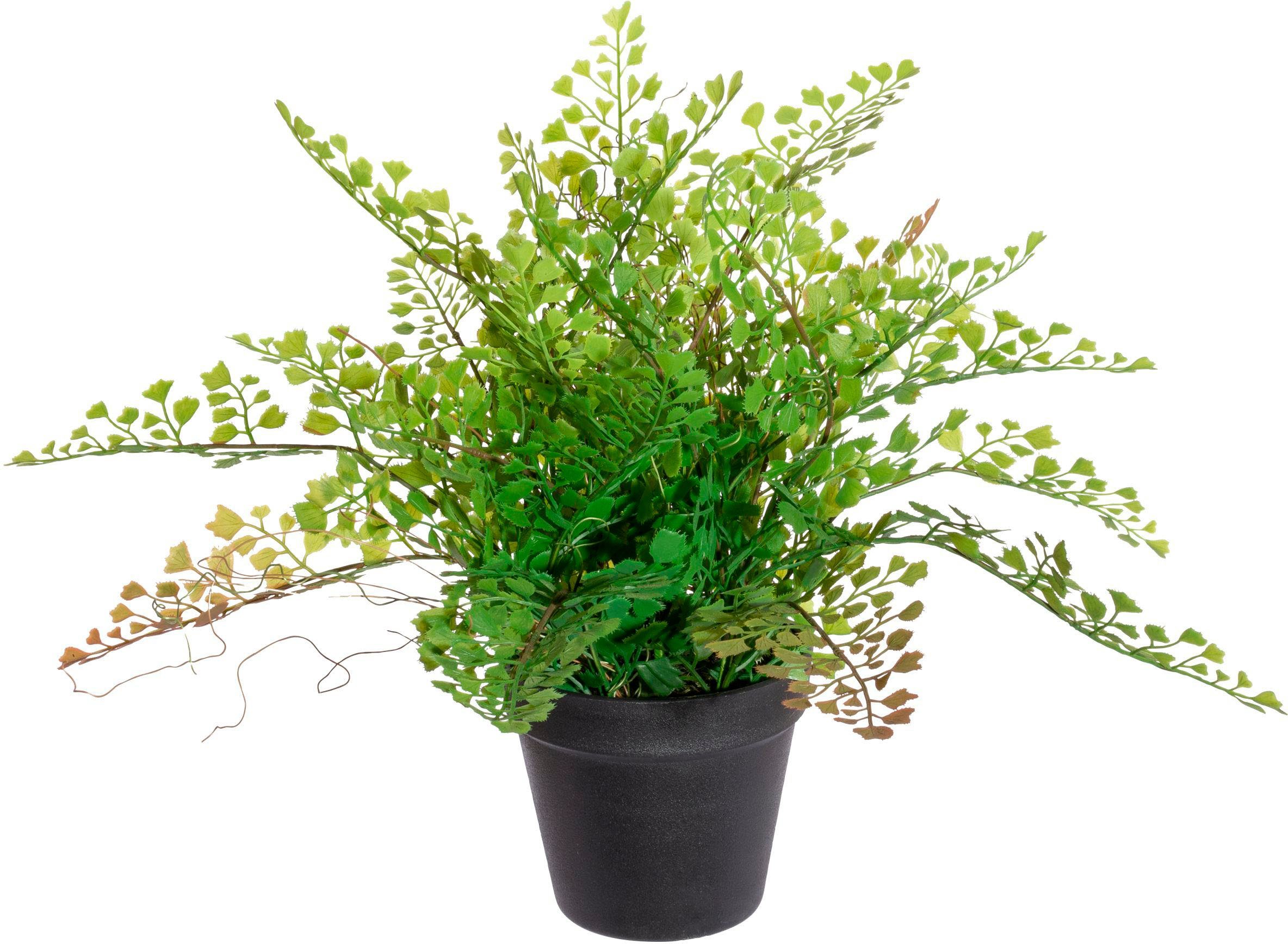 Höhe Zimmerpflanze 40 Creativ cm Farn, Künstliche green, Adianthumfarn