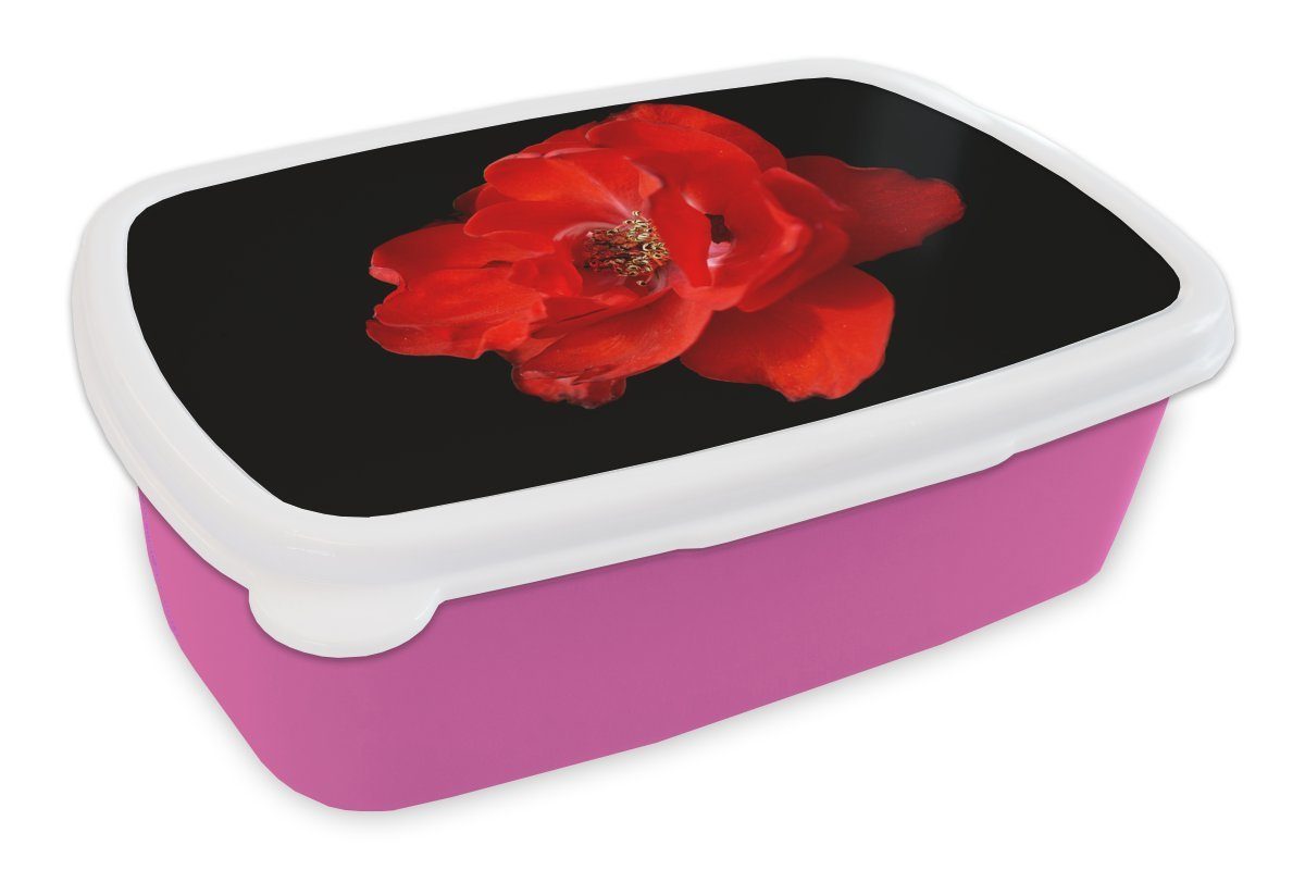 MuchoWow Lunchbox Eine rote Pfingstrose auf schwarzem Hintergrund, Kunststoff, (2-tlg), Brotbox für Erwachsene, Brotdose Kinder, Snackbox, Mädchen, Kunststoff rosa