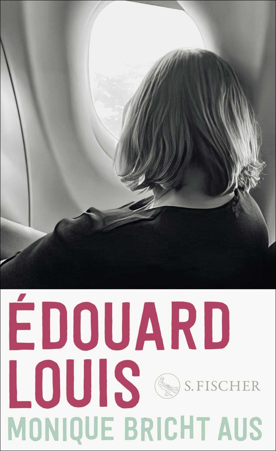 Monique bricht aus / Édouard Louis