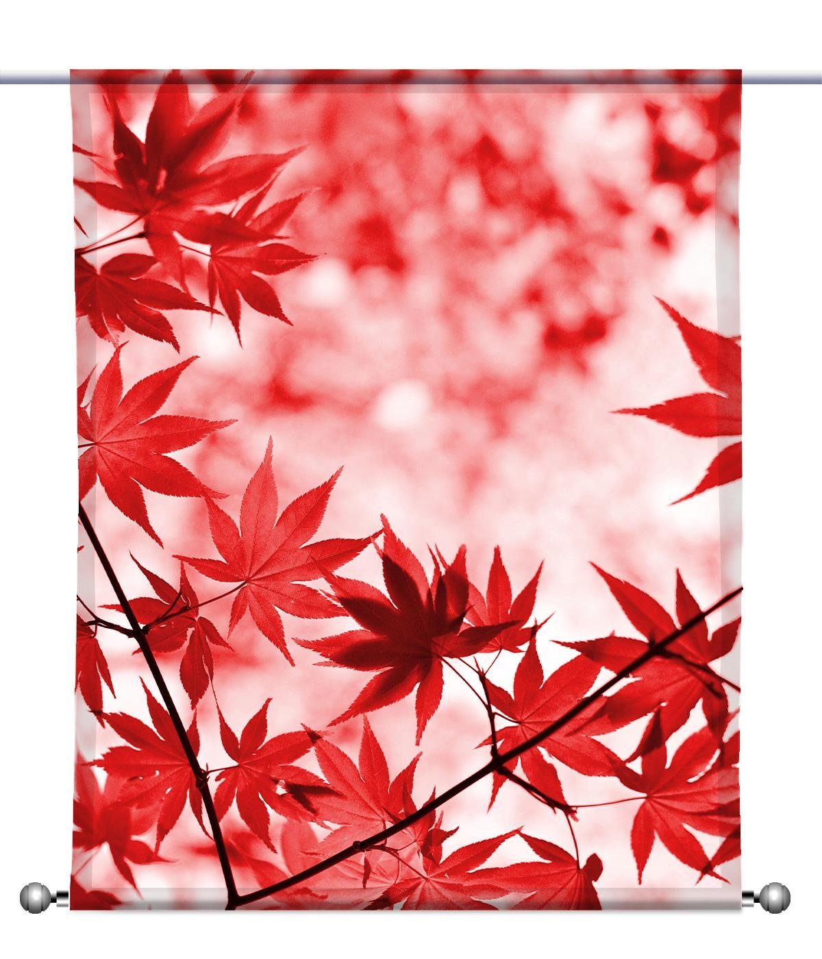 - Scheibenhänger rechteckig mit Roter gardinen-for-life Scheibengardine Beschwerung, Herbst