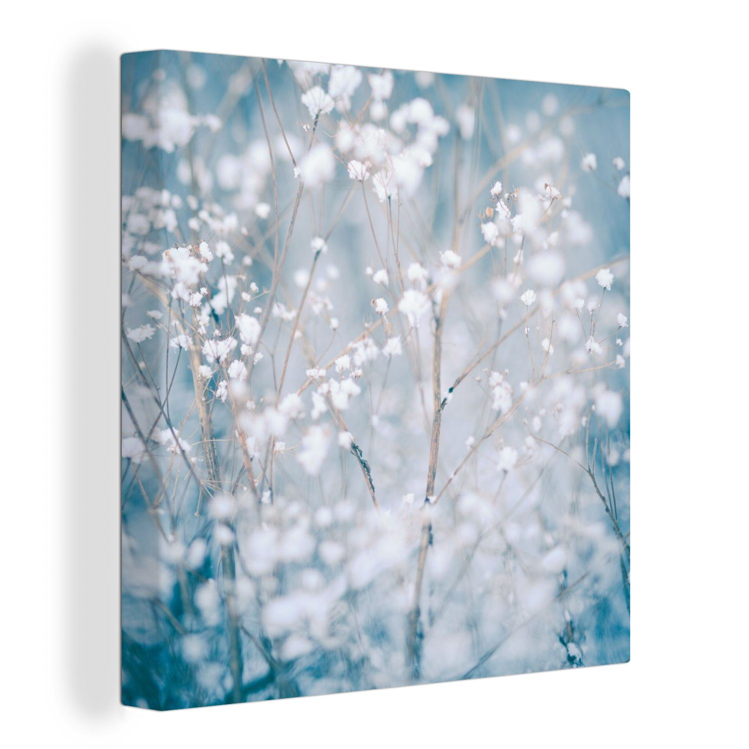 Natur Wohnzimmer St), Winter - - Schnee - - Äste Leinwand Leinwandbild Schlafzimmer Botanisch, Bilder für OneMillionCanvasses® (1