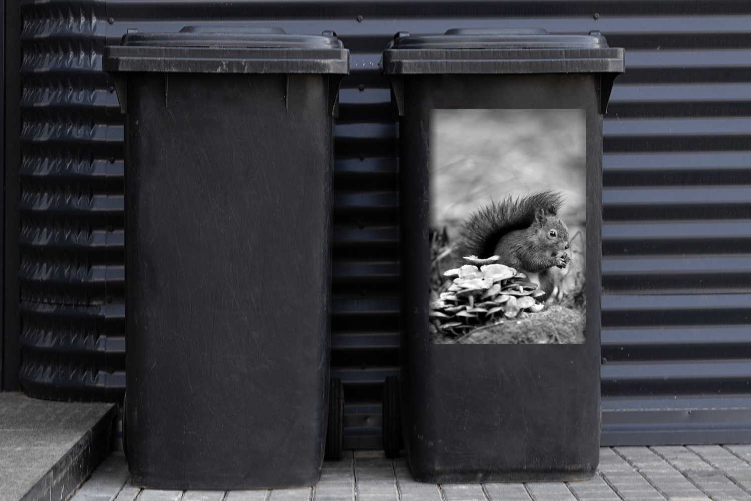 MuchoWow Wandsticker Eichhörnchen Eichel Herbst Abfalbehälter (1 schwarz Container, Sticker, mit Mülleimer-aufkleber, St), - und im Mülltonne, einer weiß