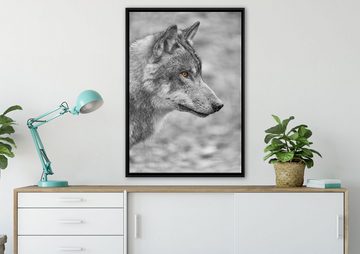 Pixxprint Leinwandbild anmutiger Wolf im Wald, Wanddekoration (1 St), Leinwandbild fertig bespannt, in einem Schattenfugen-Bilderrahmen gefasst, inkl. Zackenaufhänger