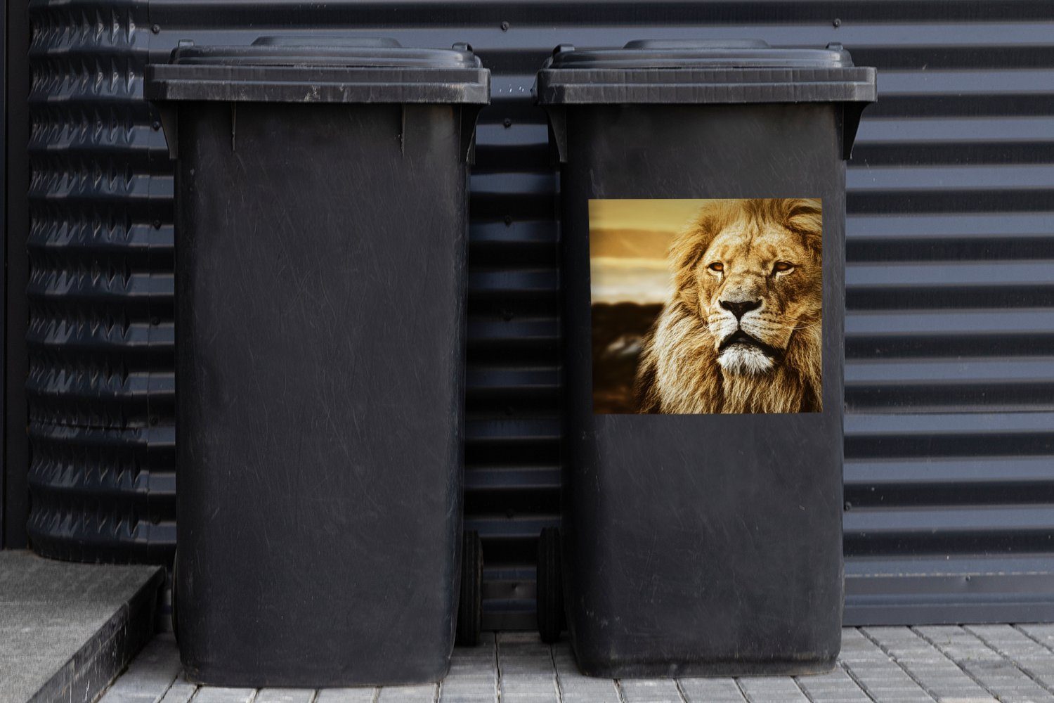 Löwen (1 Abfalbehälter - Container, St), Mülltonne, Sonnenuntergang - Wandsticker Mülleimer-aufkleber, MuchoWow Sticker, Profil