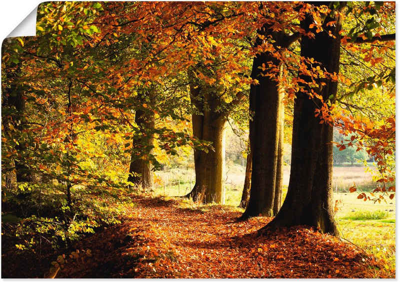 Artland Wandbild Herbstfarben, Bäume (1 St), als Alubild, Leinwandbild, Wandaufkleber oder Poster in versch. Größen