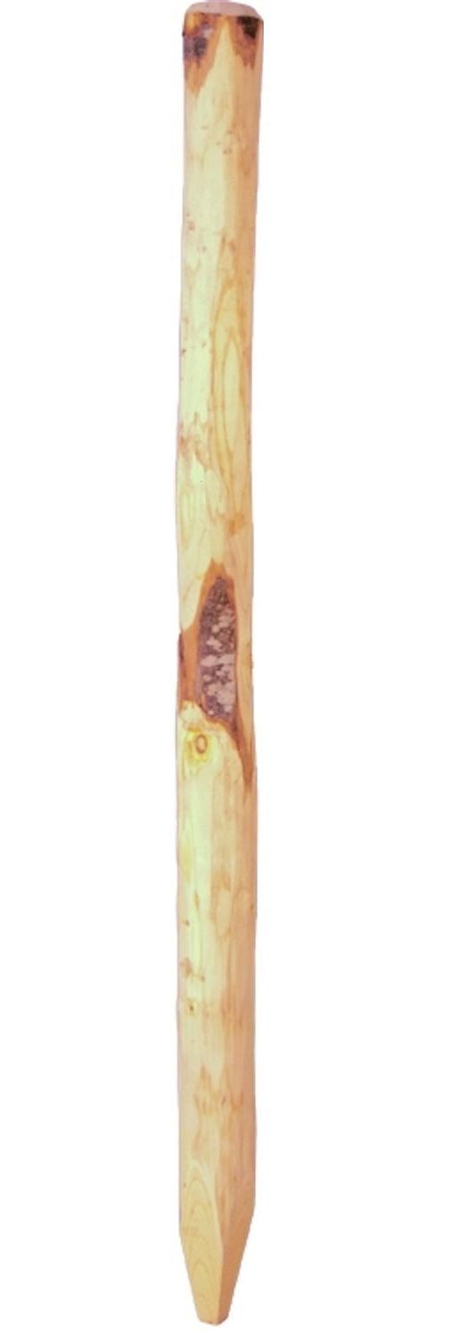 Tetzner & Jentzsch Zaunpfosten Zaunpfahl für Staketenzaun 200cm 810cm