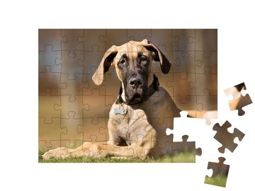 puzzleYOU Puzzle Eine Deutsche Dogge ohne Leine in der Natur, 48 Puzzleteile, puzzleYOU-Kollektionen Doggen