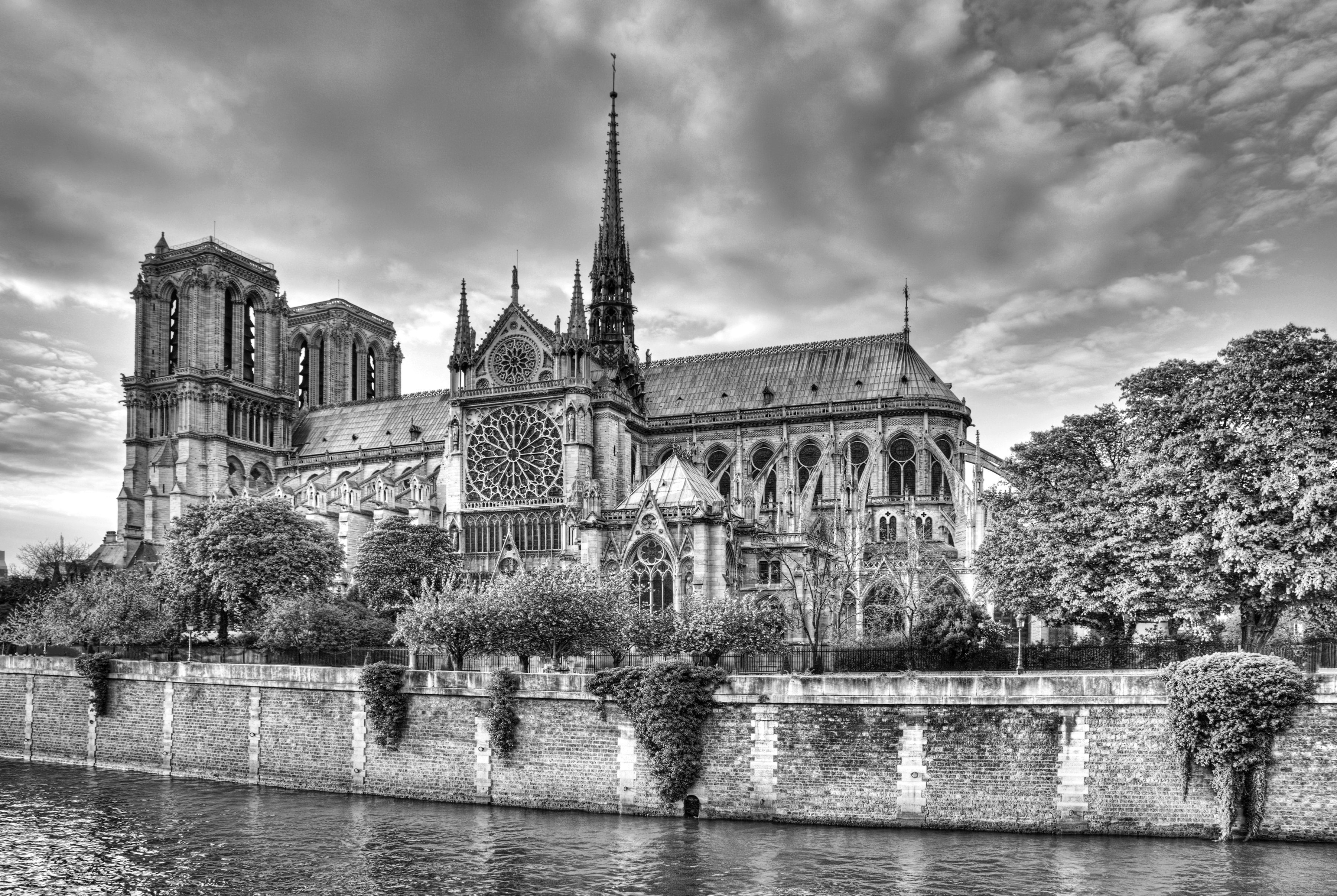 Papermoon Fototapete Notre Dame Schwarz & Weiß