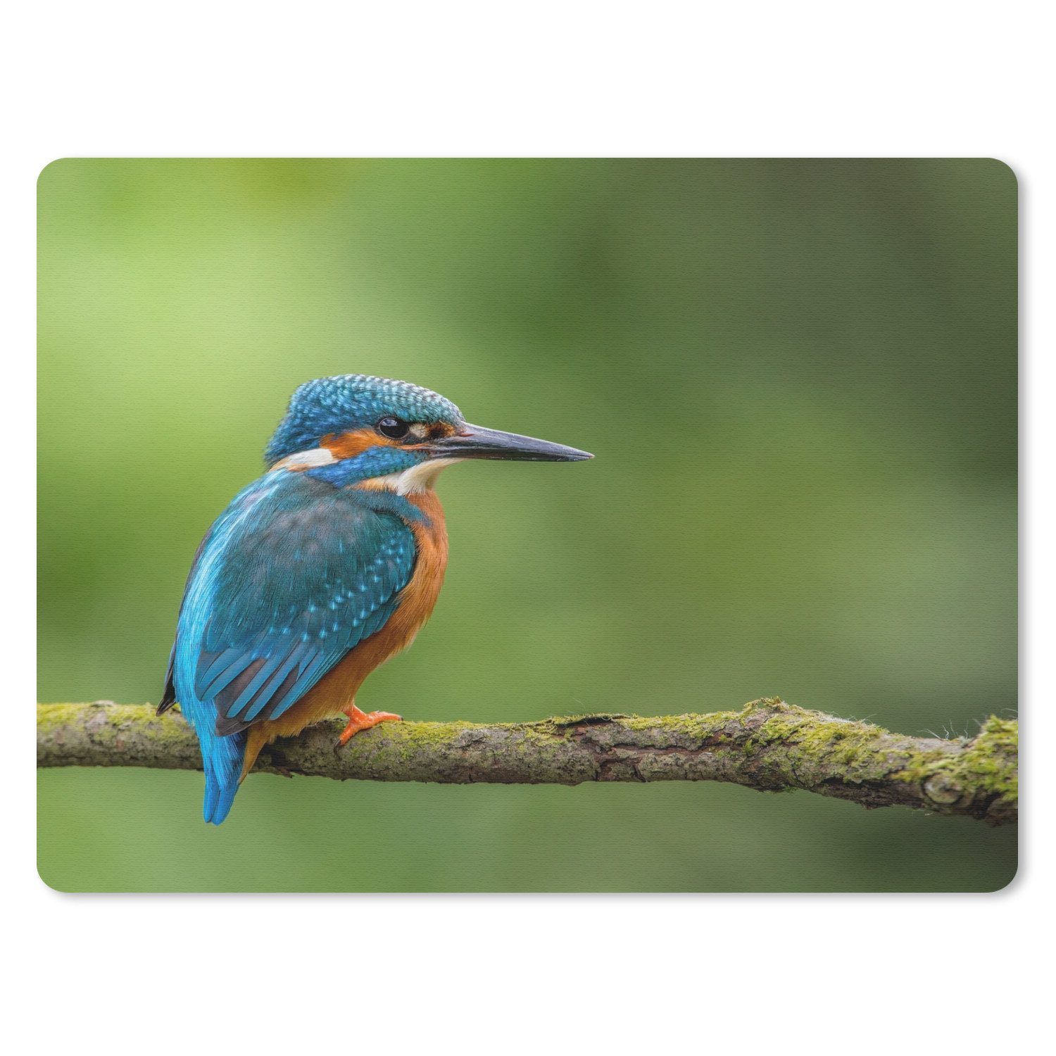 MuchoWow Mauspad Eisvogel - Zweig - Moos - Vogel - Grün (1-St), Gaming, Mousepad Klein, Büro Zubehör, Mausunterlage, 23x19 cm