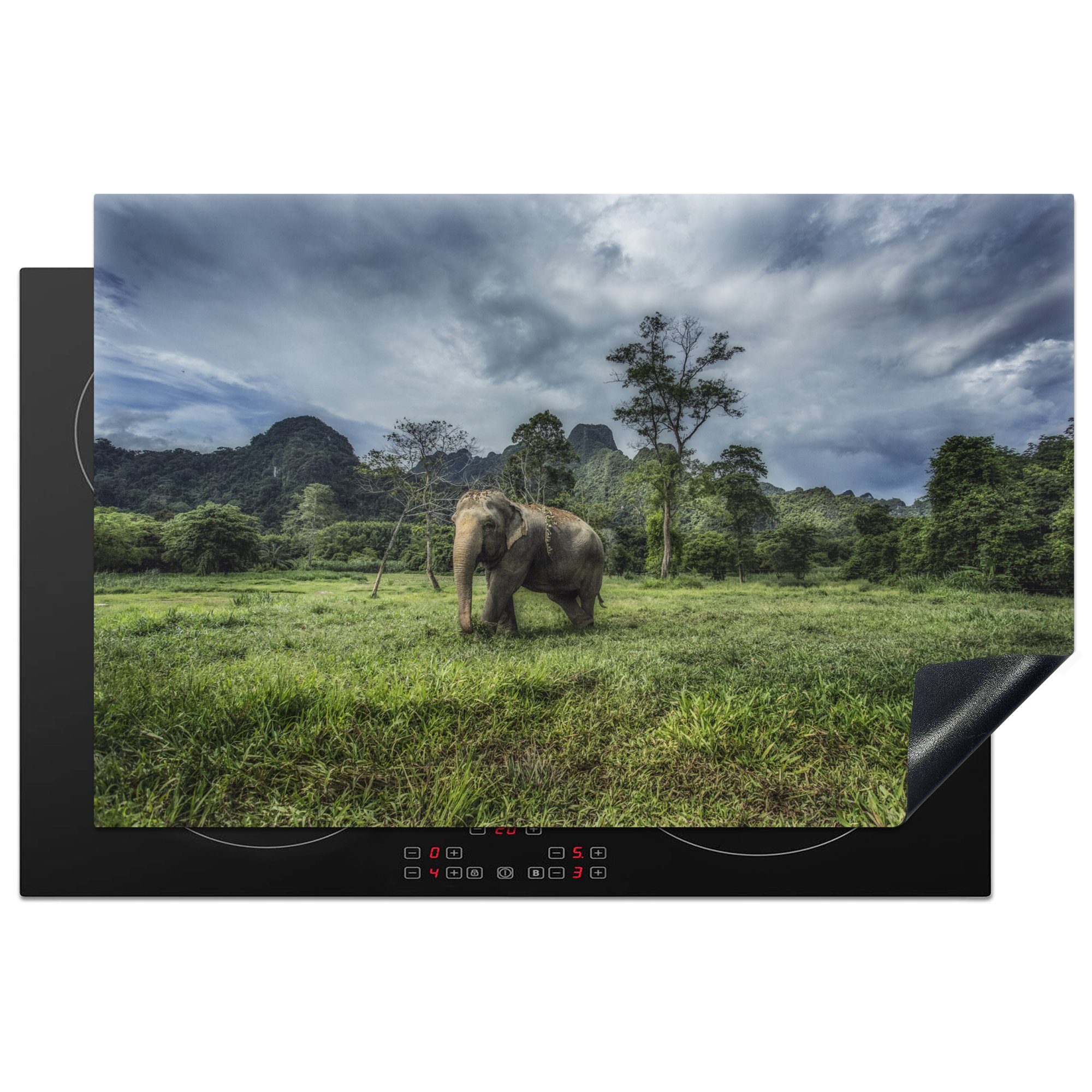 MuchoWow Herdblende-/Abdeckplatte Elefantenwanderungen durch den Khao-Sok-Nationalpark in Thailand, Vinyl, (1 tlg), 81x52 cm, Induktionskochfeld Schutz für die küche, Ceranfeldabdeckung | Herdabdeckplatten