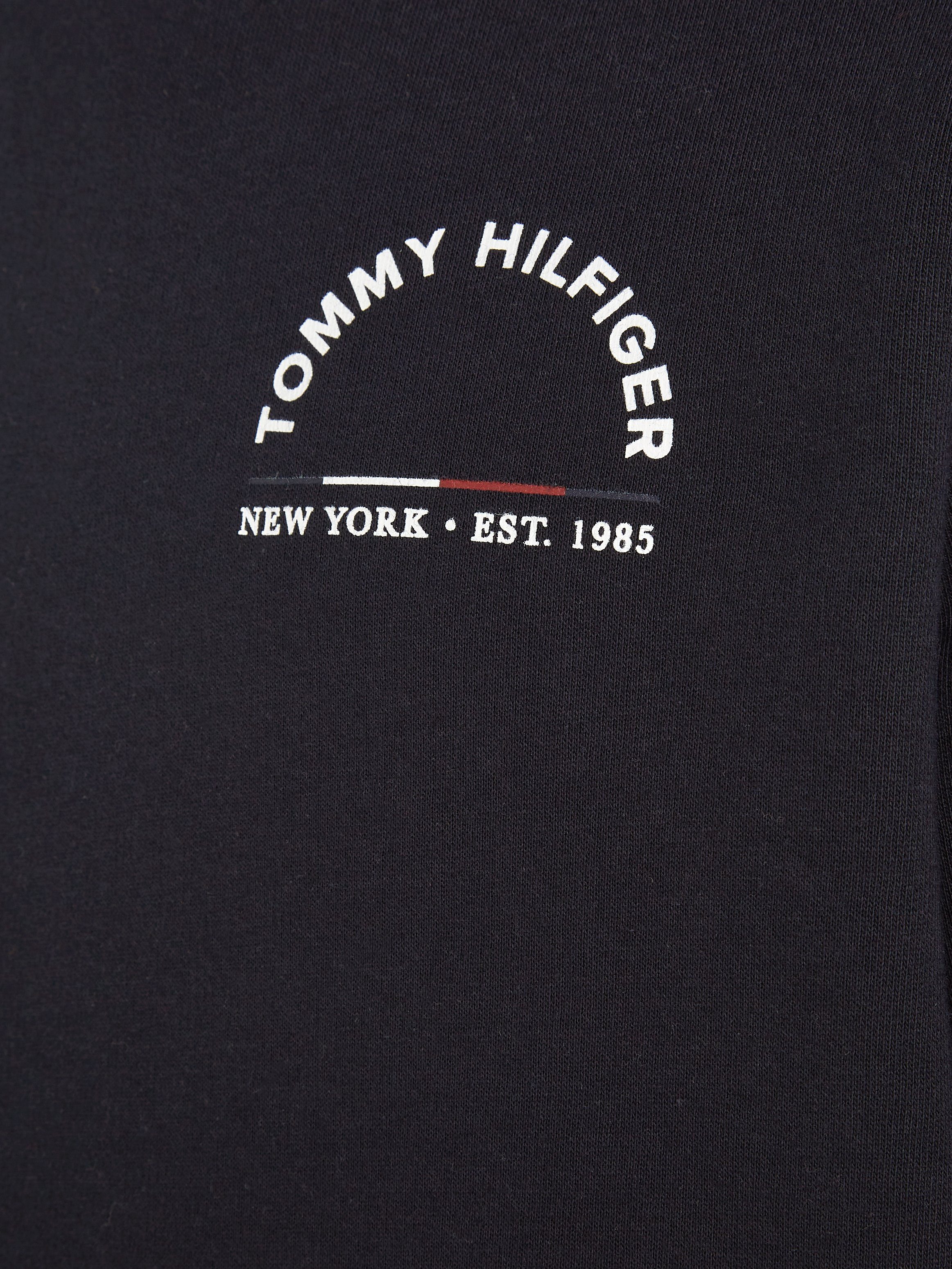 Sky Tommy HILFIGER SWEATSHIRT Hilfiger SHADOW Sweatshirt REG Desert