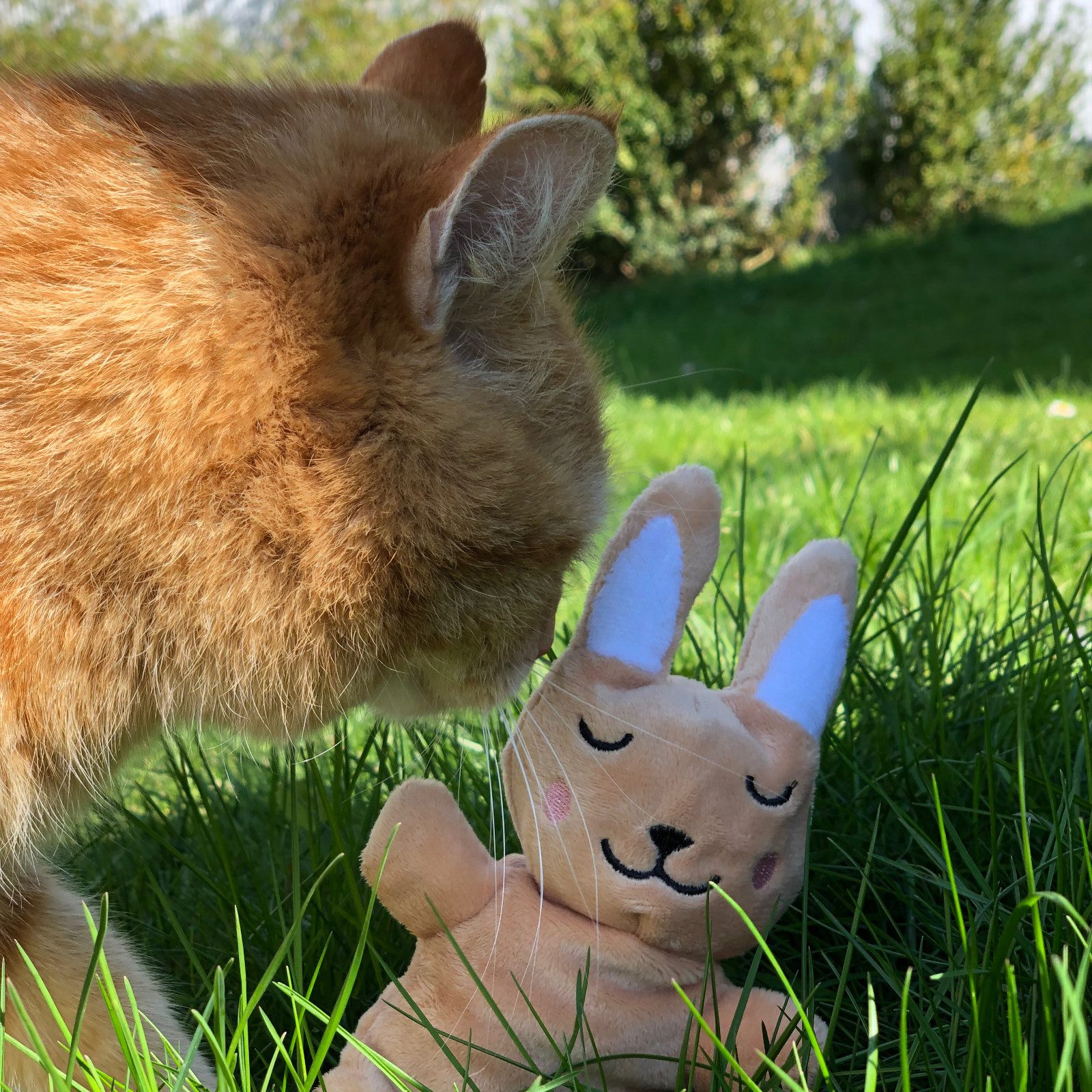 Aumüller Tierkuscheltier Katzenspielzeug Baldi Bunny, Plüschtier zum Schmusen mit Baldrianfü...
