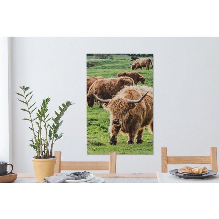OneMillionCanvasses® Leinwandbild Herde - Schottischer Hochländer - Gras (1 St) Leinwand Bilder für Wohnzimmer Schlafzimmer