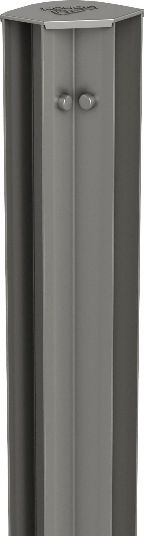 Biohort Eckprofil, für Hochbeet DaVinci MAXI