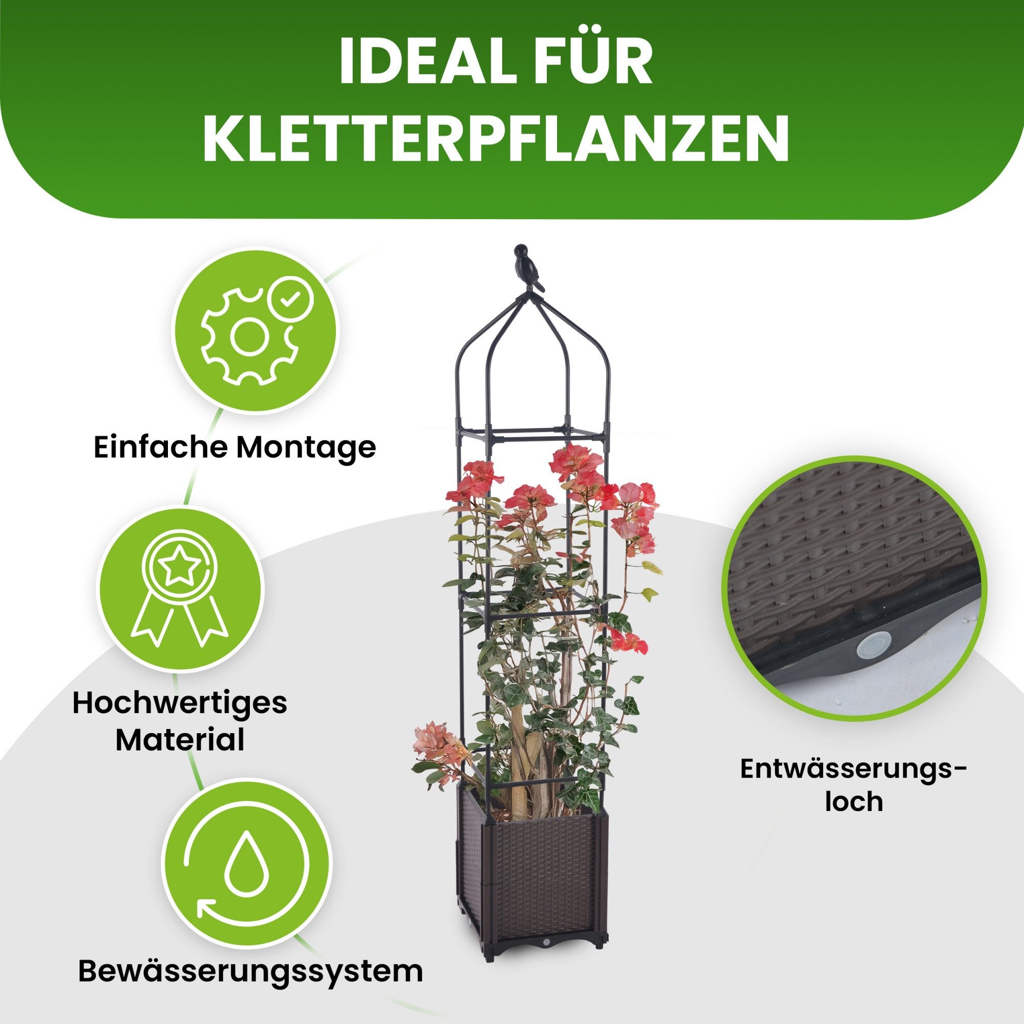 Gartenwelt Riegelsberger Blumenkasten mit Rankhilfe 3 günstig online kaufen