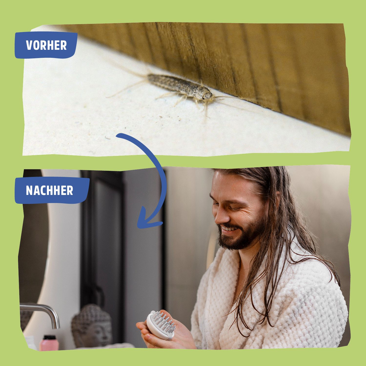 Futura-Shop Insektenspray Silberfische Spray, Alternative zu Silberfischfalle, 500 ml