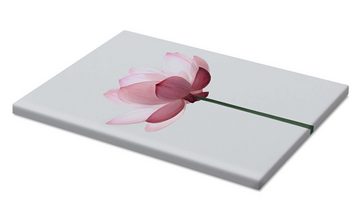 Posterlounge Leinwandbild Sisi And Seb, Lotusblüte, Minimalistisch Fotografie