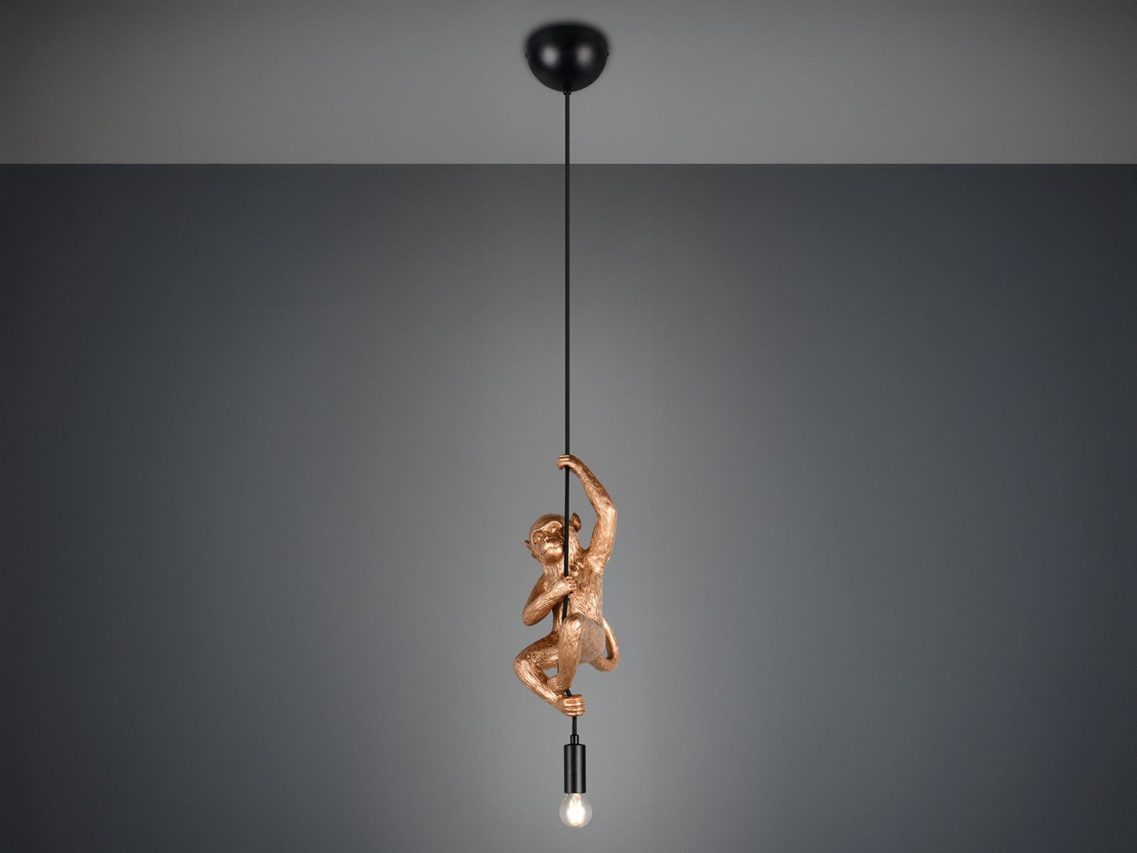 Reality Leuchten LED Pendelleuchte, Dimmfunktion, LED wechselbar, warmweiß, ausgefallene für Esstisch klein-e Affenlampe hängend, Breite 14,5cm
