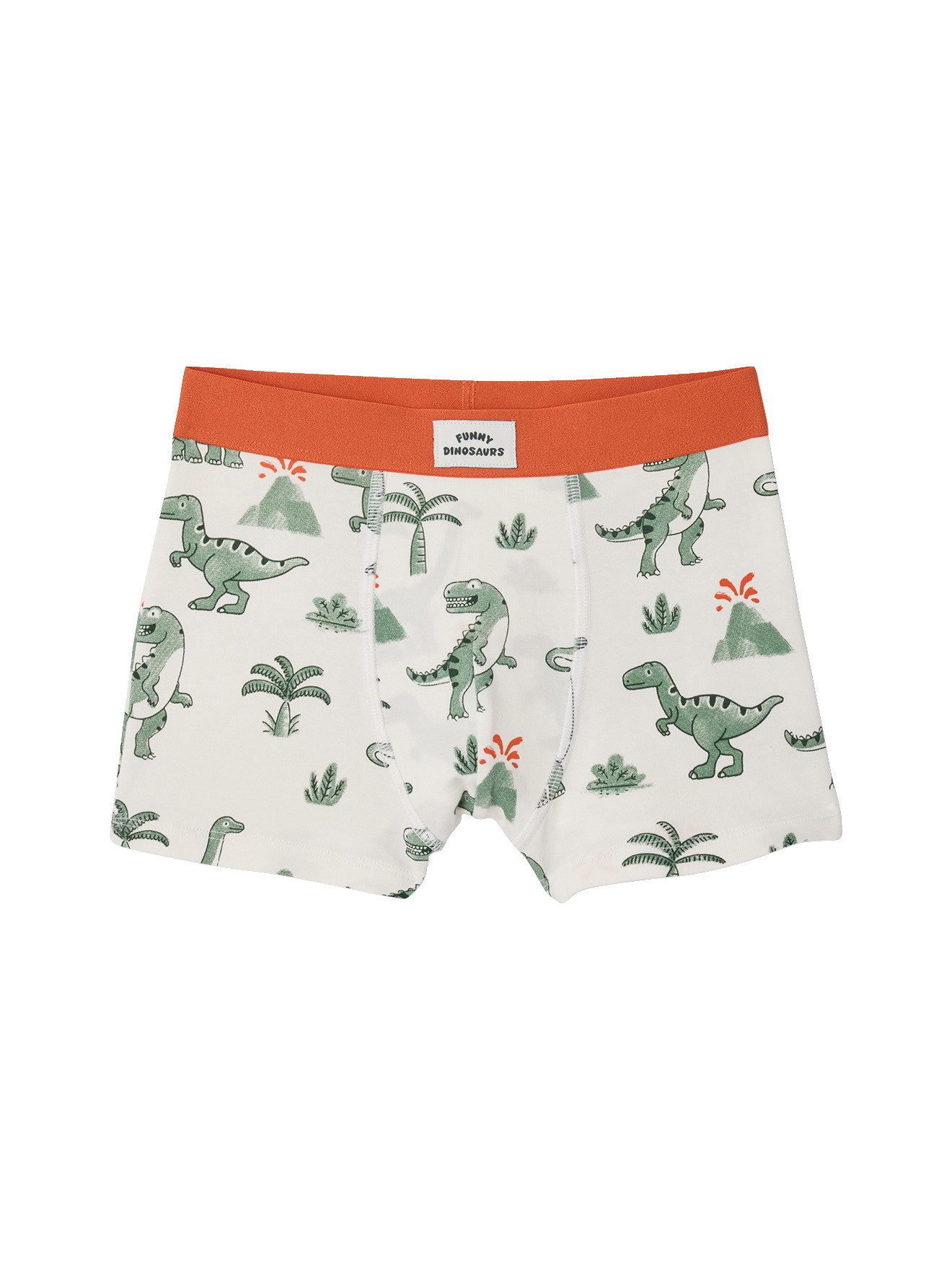 vertbaudet Boxershorts 5er-Pack Boxershorts DINO, Jungen – Bild 4 von 5