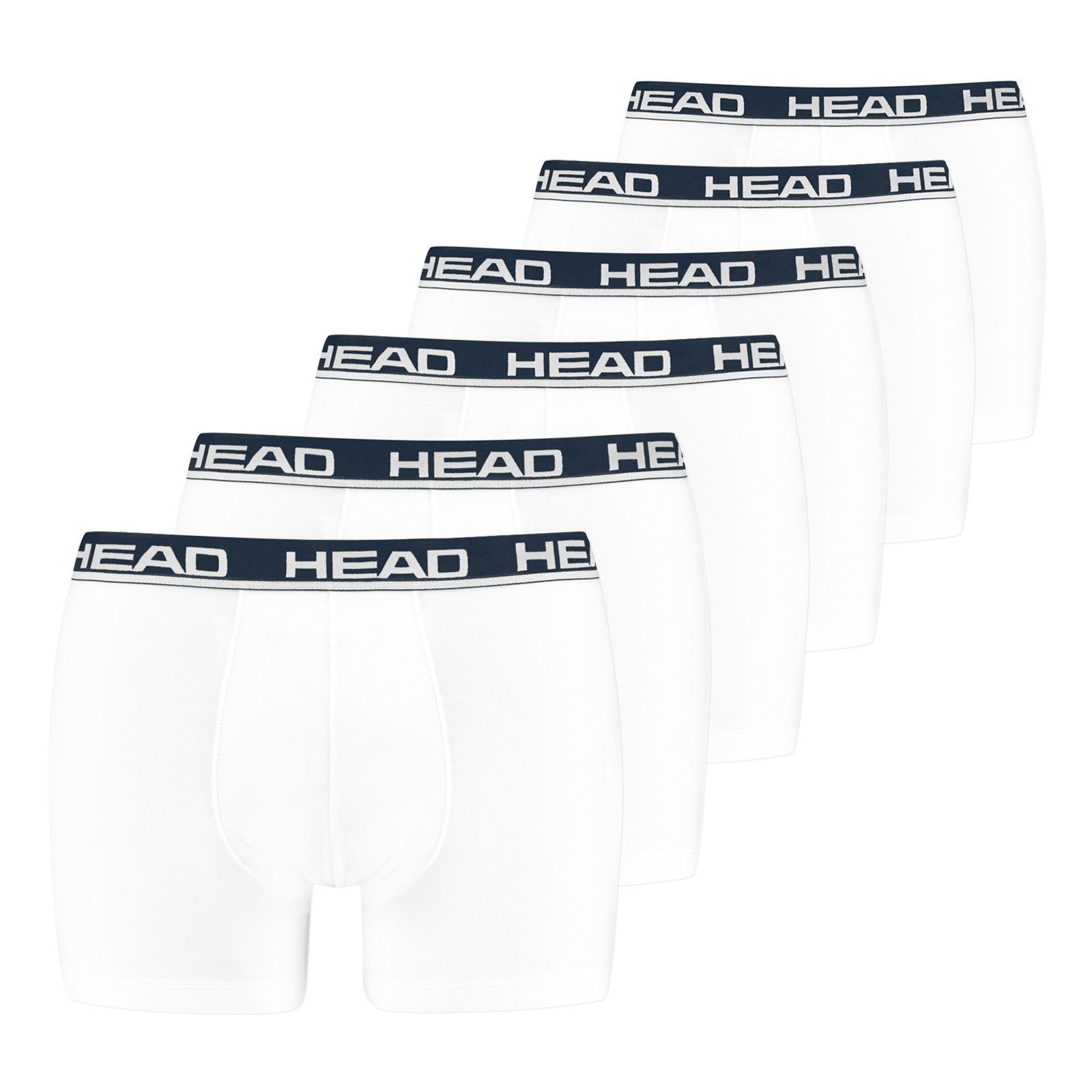 Boxer Basic