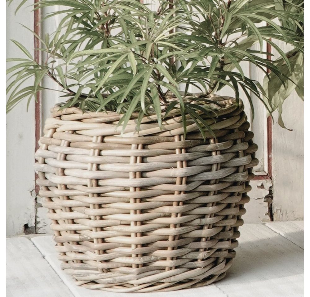 LebensWohnArt Dekokorb Natur Rattankorb GINI Natural Grey ca.40cm Pflanzkorb Übertopf