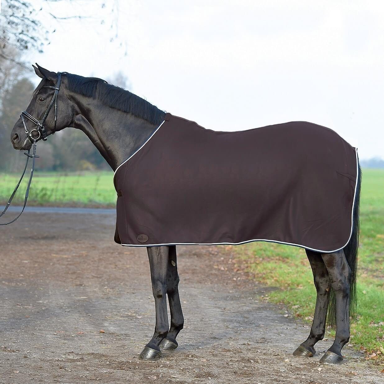 schwarz (silber)