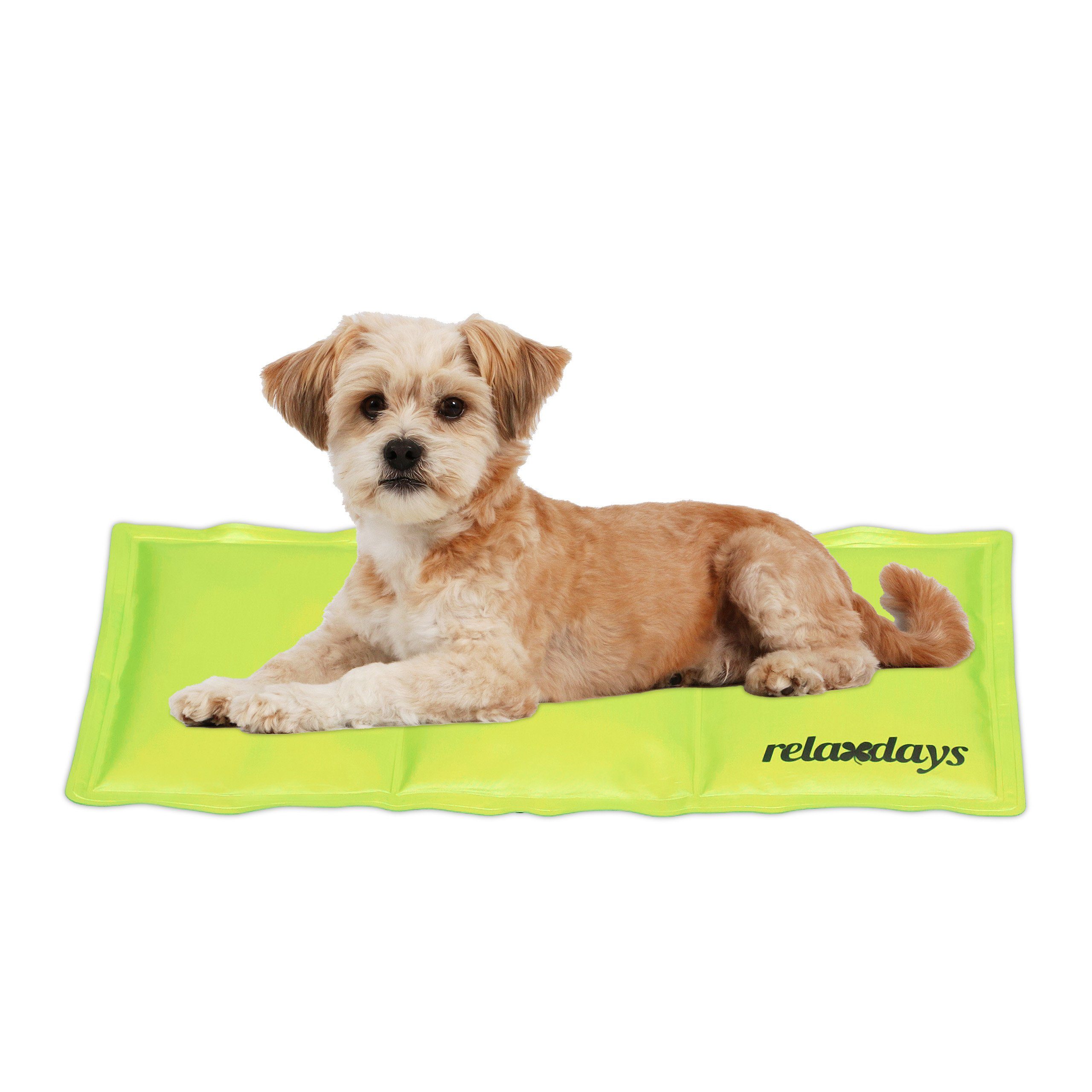 relaxdays Hundematte Grüne Kühlmatte für Hunde, günstig online kaufen
