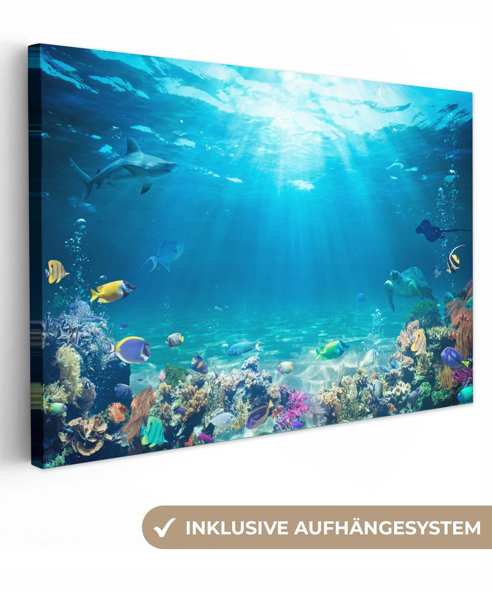 OneMillionCanvasses® Leinwandbild Unterwasserwelt - Meerestiere - Wasser - Korallen - Blau, Fotodruck (1 St), Leinwand Bilder Klein, Wand Dekoration Aesthetic 30x20 cm