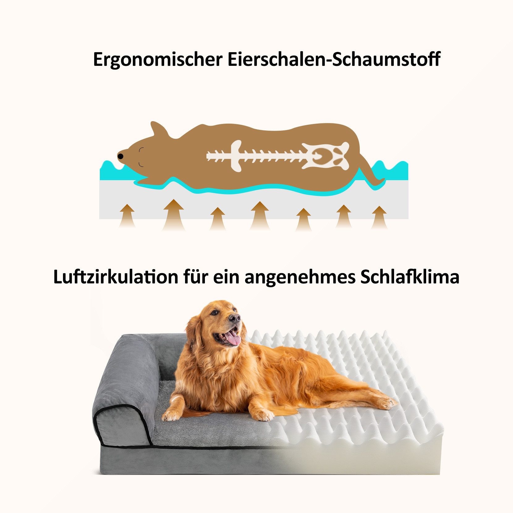 OUNUO Tierbett Hundebett Hundesofa Hundecouch mit eierförmiger Kistenschaum günstig online kaufen