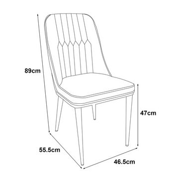 en.casa Esszimmerstuhl, Kleedorf Polsterstuhl im 2er Set Schwarz