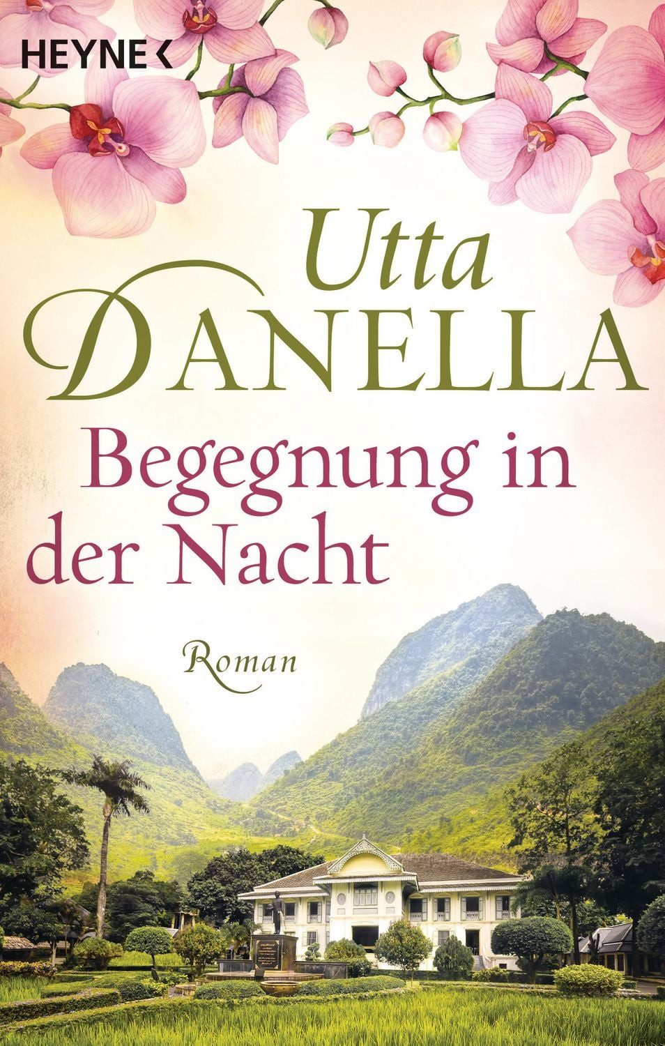 Begegnung in der Nacht / Utta Danella