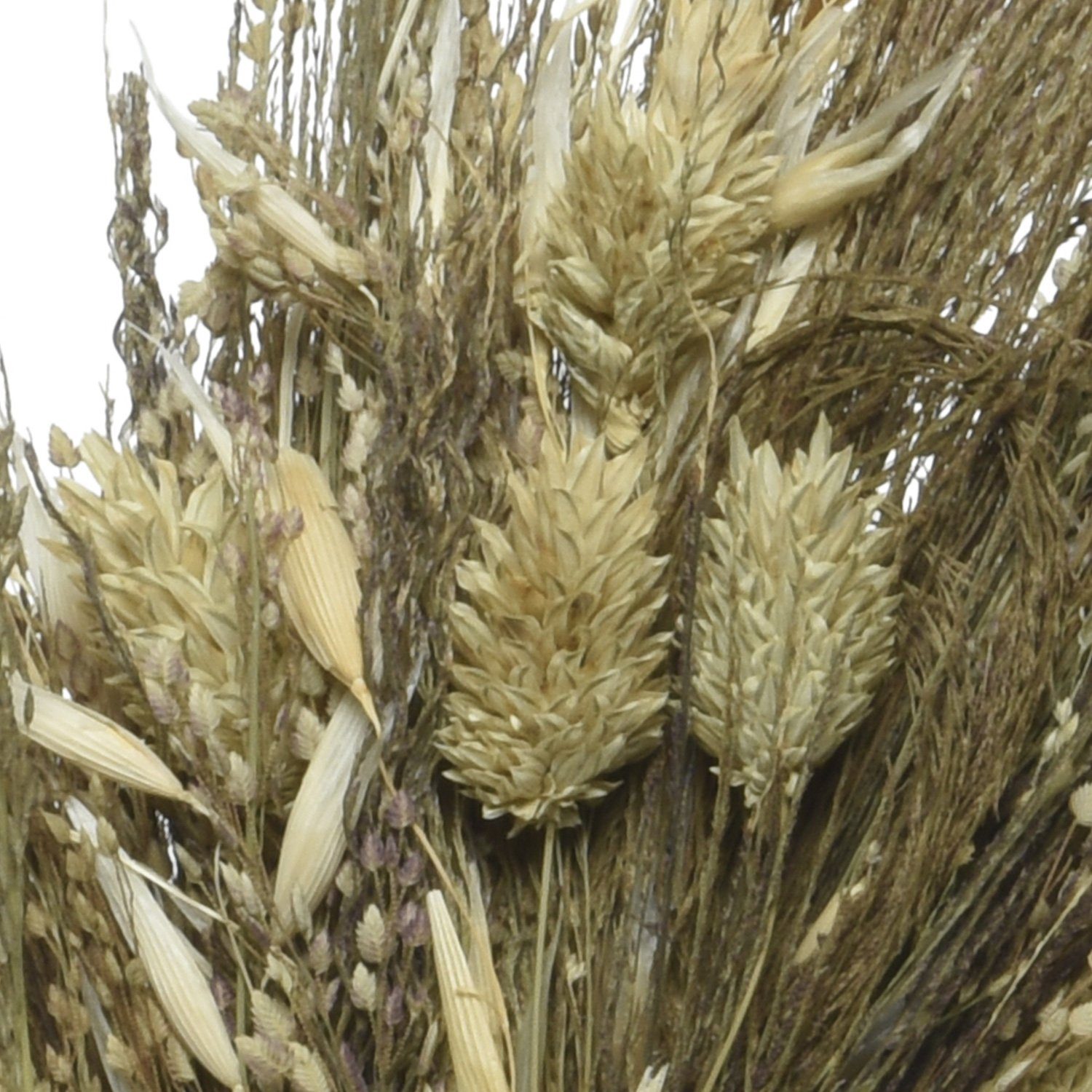 MARELIDA Dekokranz Trockenblumenkranz Gräser Tischkranz Türkranz günstig online kaufen