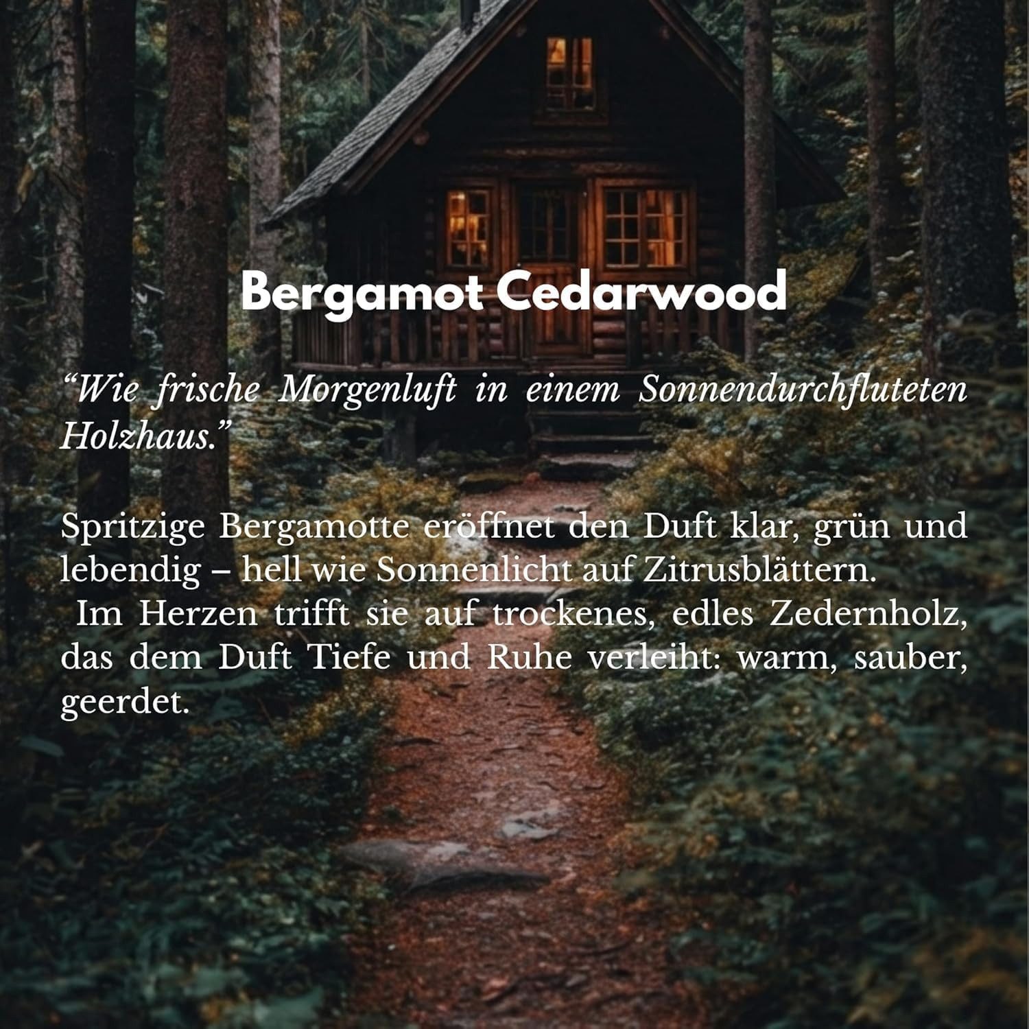 BOHORIA Raumduft Refill Bergamot & Cedarwood 1000 ml – Hotel Raumduft Nachfüllpack