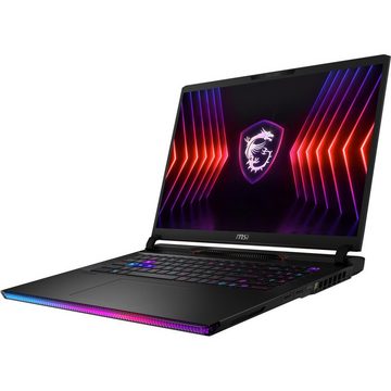 MSI Raider GE78 HX 14VIG-671 Gaming-Notebook (43.18 cm/17 Zoll, Intel Core i9 14900HX, RTX 4090, 4000 GB SSD)