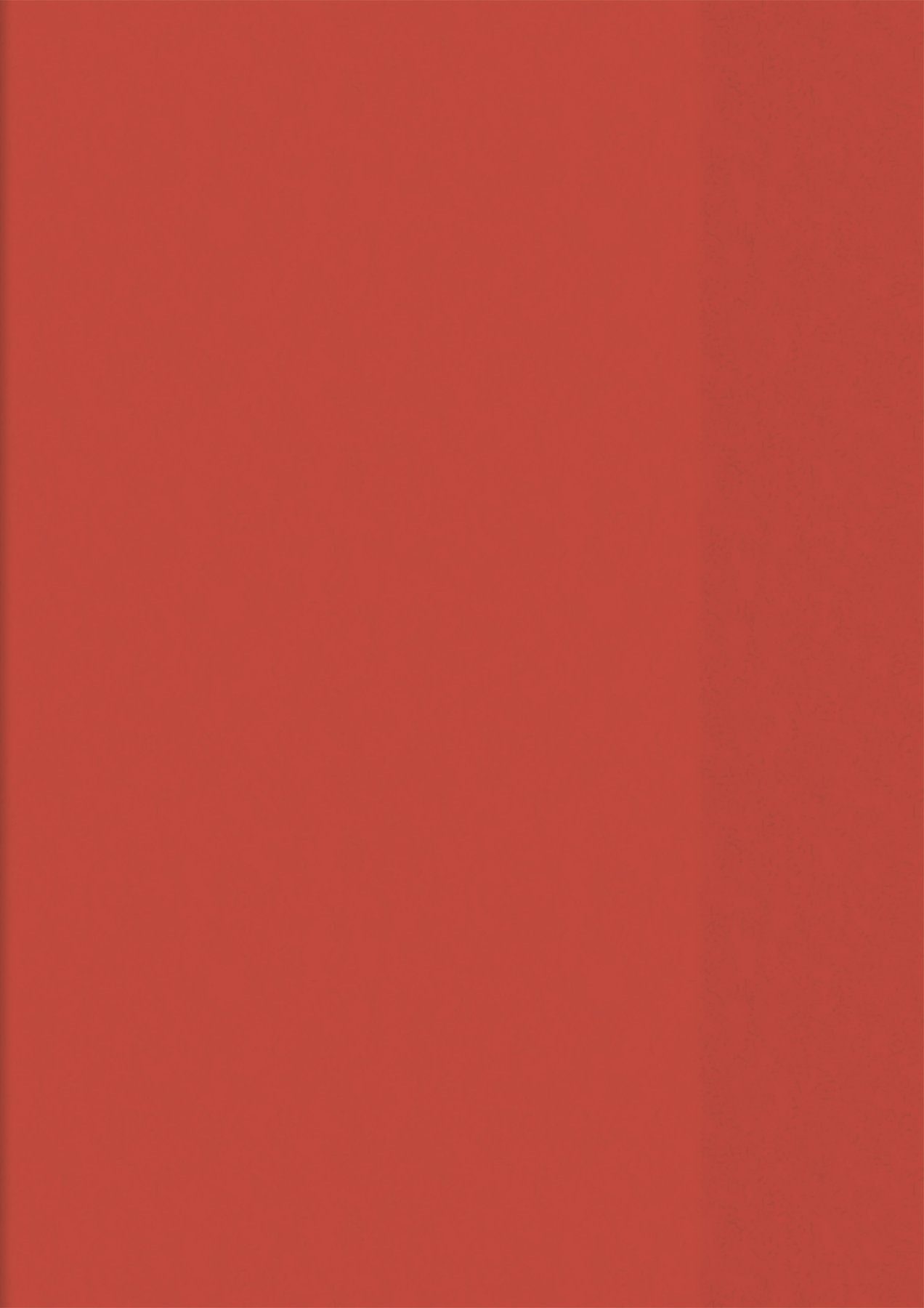 BRUNNEN Schulheft BRUNNEN Hefthülle A4 transparent rot Heftumschlag 10-4050420