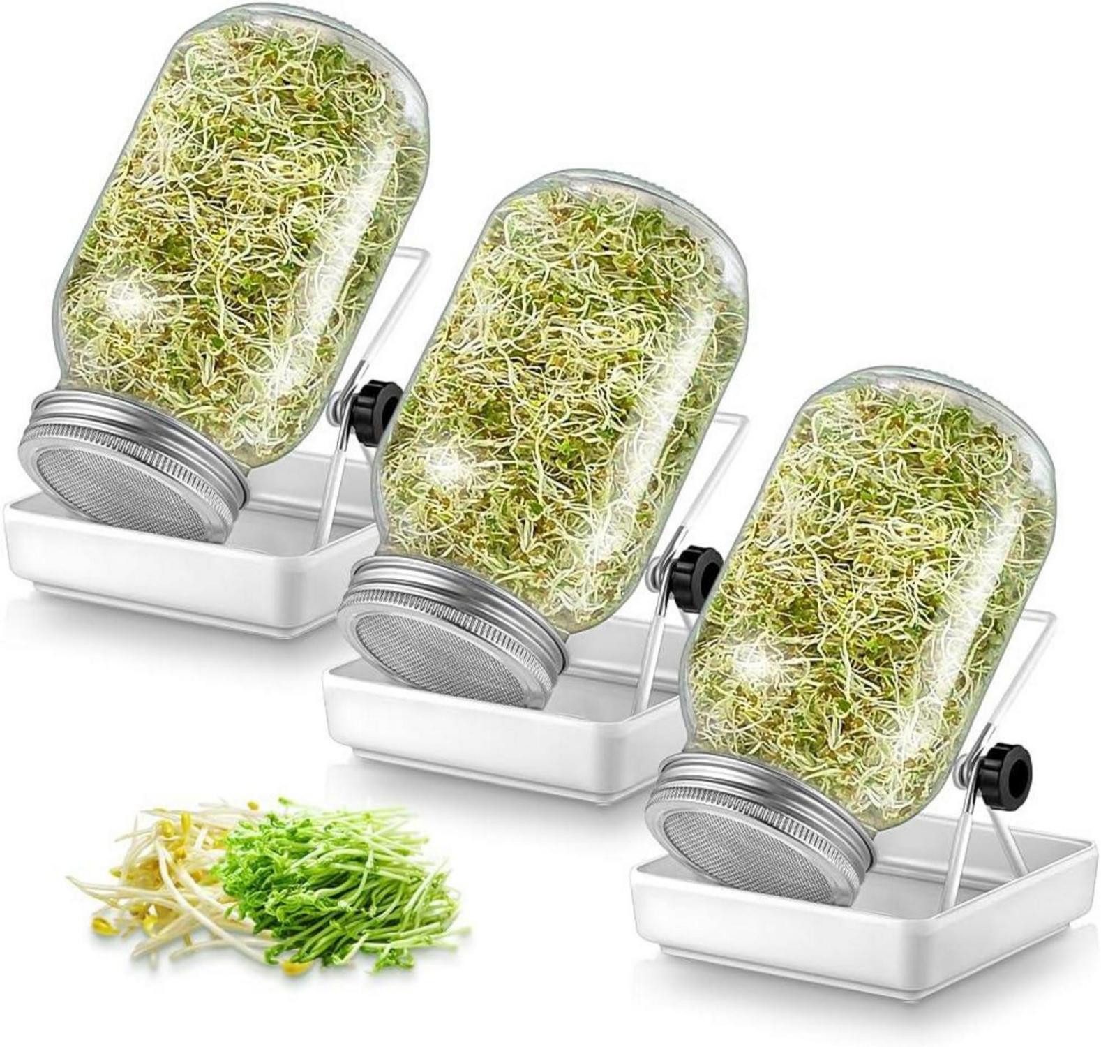 Gläser-Set Sprossen Keimglas Set für Sprossenglas Sprouting jar 3er – 750ml